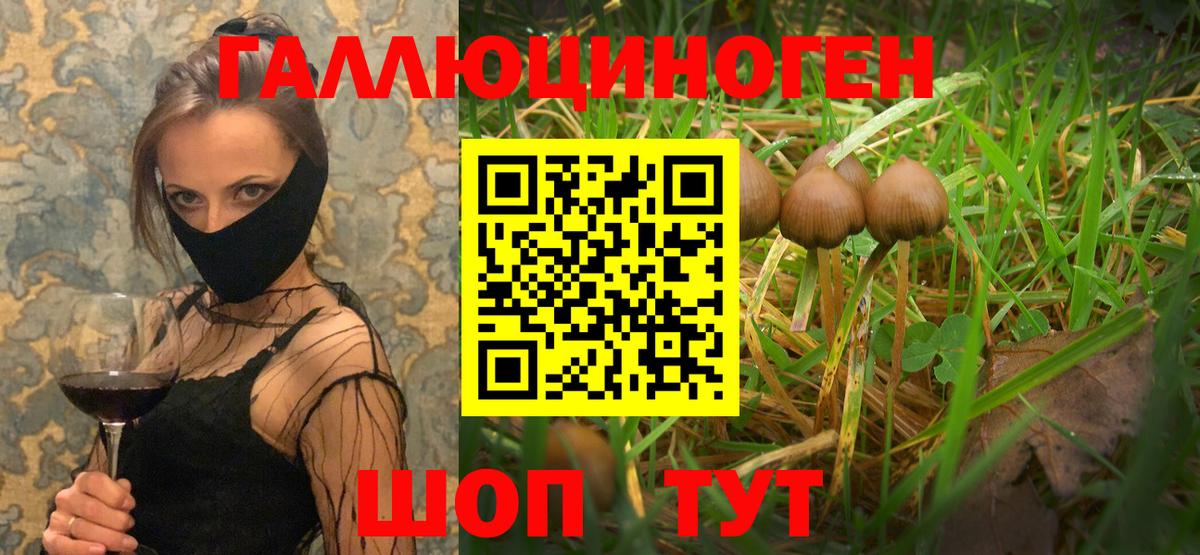 Галлюциногенные грибы Cubensis Магадан
